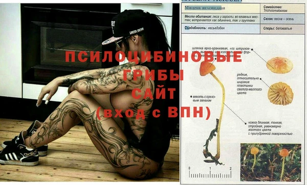 мяу мяу кристалл Алзамай