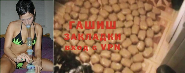 гашик Алексин