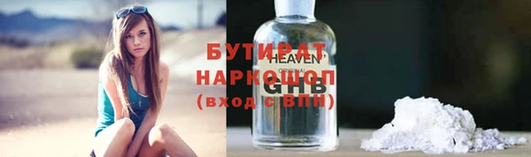 гашик Алексин