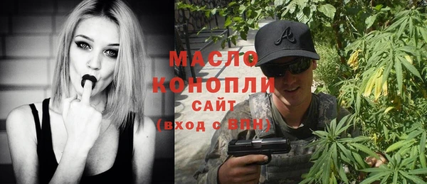 гашик Алексин