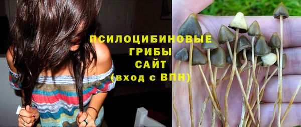 гашик Алексин