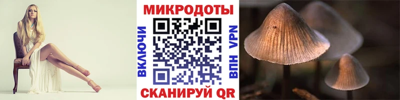 Купить закладки  Корсаков  Псилоцибиновые грибы прущие грибы 
