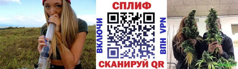 Купить где  Корсаков  Бошки Шишки VHQ 